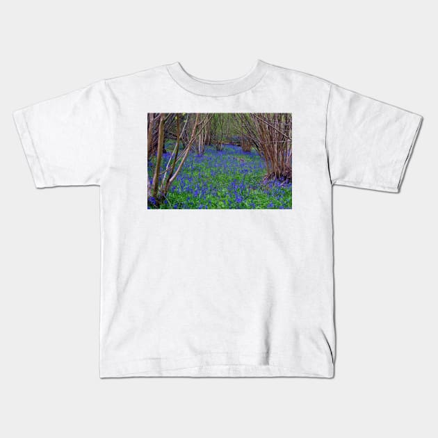 Bluebell Woods Bluebells Basildon Park Reading Berkshire Kids T-Shirt by AndyEvansPhotos